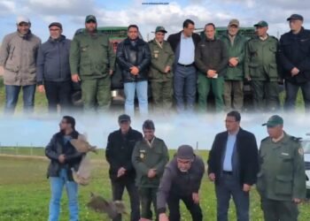 تحت إشراف الجامعة الملكية المغربية للقنص جهة الدار البيضاء سطات وبحضور اطر الوكالة الوطنية للمياه والغابات والحراس الجامعيين والممثلين الإقليميين ورؤساء جمعيات القنص  تم الشروع في عملية إعمار بإطلاق 650 طائر حجل بدأت المبادرة بجماعة بوحمامة و ستشمل 11 جماعة باقليم سيدي بنور .