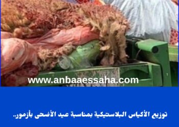 توزيع الأكياس البلاستيكية بمناسبة عيد الأضحى بأزمور.. جدل حول الانتقائية وتباين معايير الاستفادة