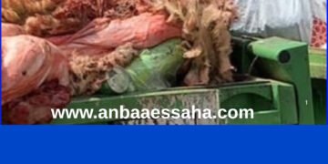 توزيع الأكياس البلاستيكية بمناسبة عيد الأضحى بأزمور.. جدل حول الانتقائية وتباين معايير الاستفادة