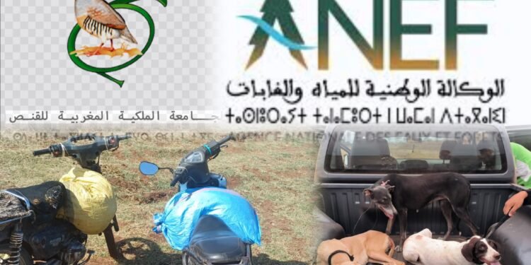 الجديدة.. إحباط عملية صيد غير قانوني وحجز دراجتين ناريتين وتوقيف مشتبه فيه بالشعيبات
