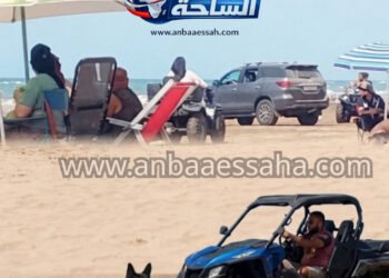 عشوائية “الكوادات” والكلاب تهدد سلامة المصطافين بشاطئ المهارزة الساحل