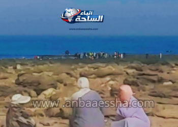 موت وسط الصخور.. وفاة عاملة في جني الطحالب بسيدي بوزيد تفضح هشاشة القطاع
