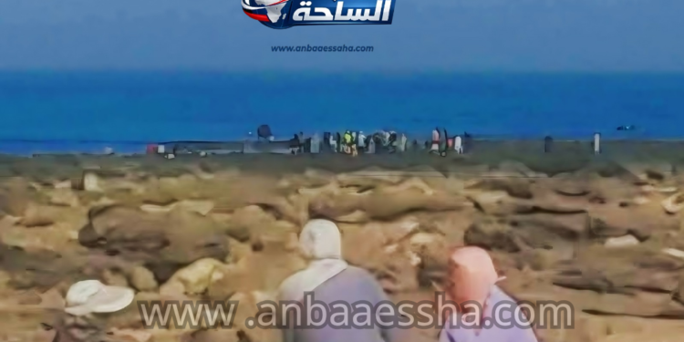موت وسط الصخور.. وفاة عاملة في جني الطحالب بسيدي بوزيد تفضح هشاشة القطاع